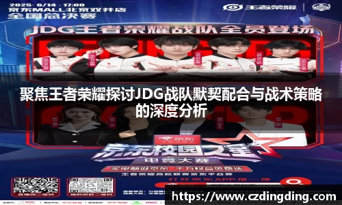 聚焦王者荣耀探讨JDG战队默契配合与战术策略的深度分析